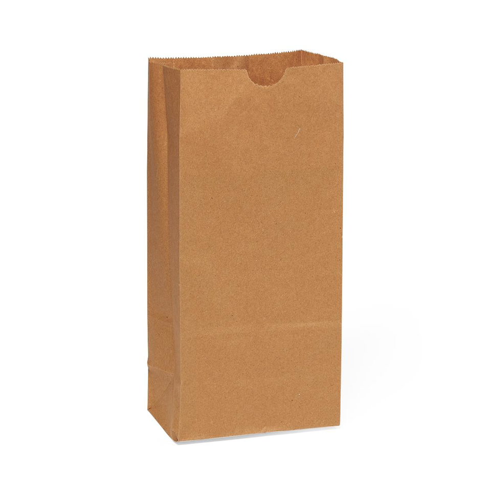 Medline Brown Paper Bags